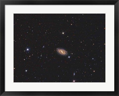 Framed Messier 109, a barred spiral galaxy in the Constellation Ursa Major Print