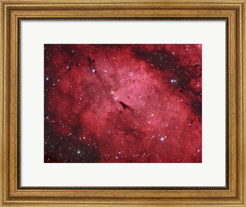 Framed Sadr region in the Constellation Cygnus Print