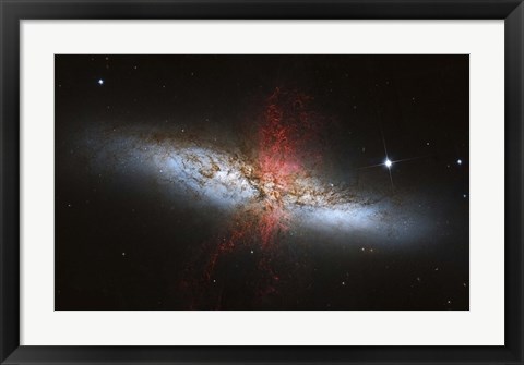 Framed Messier 82, a starburst galaxy in the Constellation Ursa Major Print