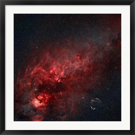 Framed Constellation Cygnus with multiple nebulae visible Print