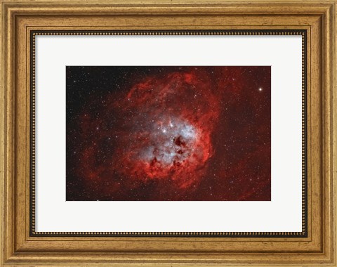 Framed Tadpole Nebula II Print