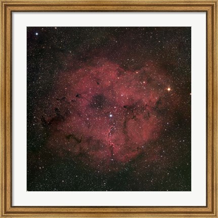 Framed large IC 1396 emission Nebula complex Print