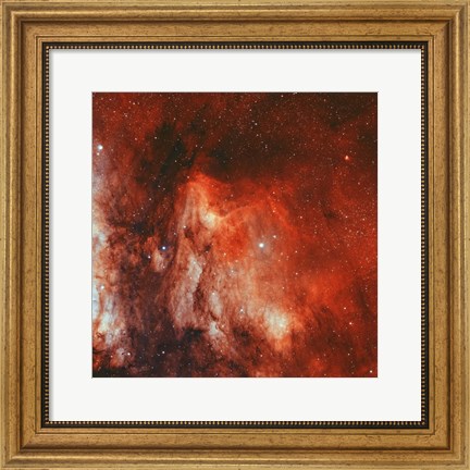 Framed Pelican Nebula II Print