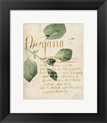 Framed Herb Study III Print