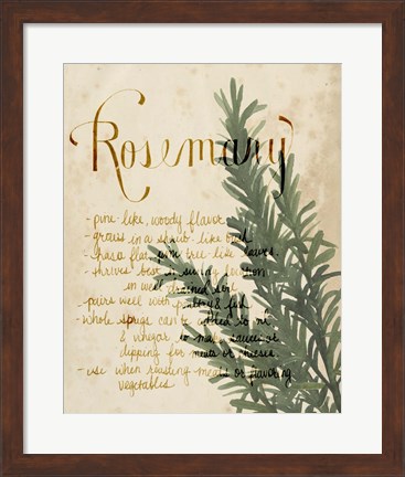 Framed Herb Study IV Print