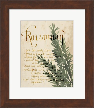 Framed Herb Study IV Print