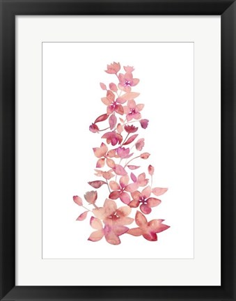 Framed Blossom Falls II Print