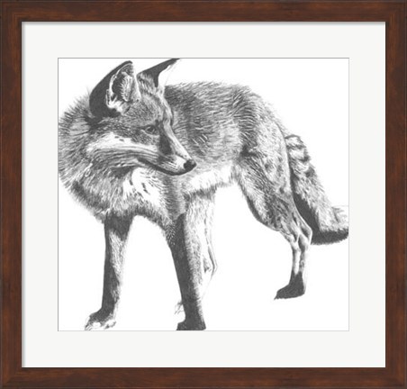 Framed Wildlife Snapshot: Fox Print