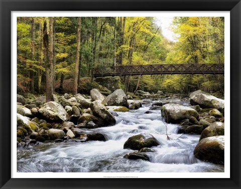 Framed Bridging the Seasons Print