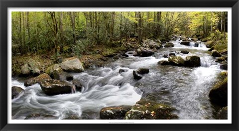 Framed Up the Creek Panorama Print