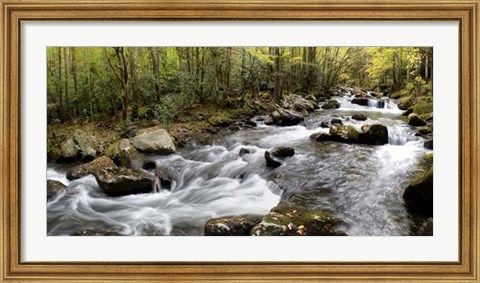 Framed Up the Creek Panorama Print