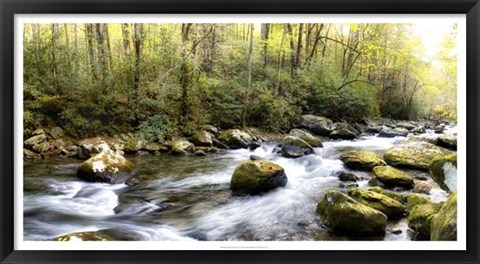 Framed Riverside Panorama Print