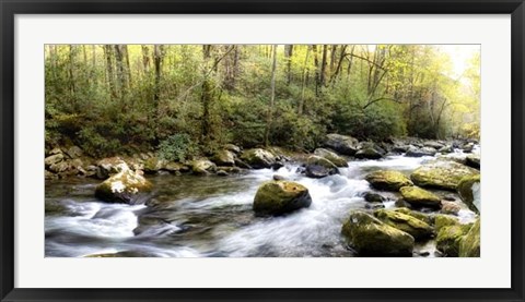 Framed Riverside Panorama Print