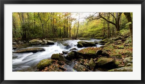 Framed Tremont Panorama II Print