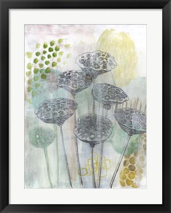 Framed Seed Pod Composition I Print