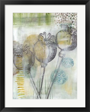 Framed Seed Pod Composition II Print