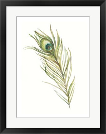 Framed Watercolor Peacock Feather I Print