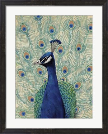 Framed Blue Peacock II Print