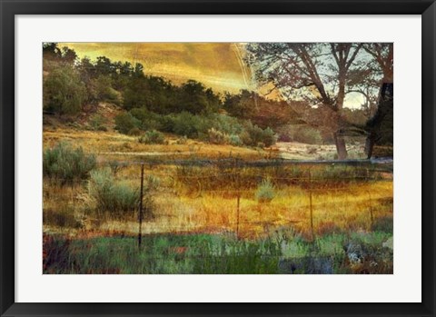 Framed In the Brush Print