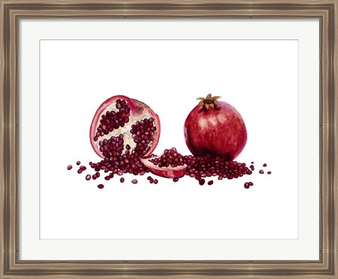 Framed Watercolor Pomegranate Print