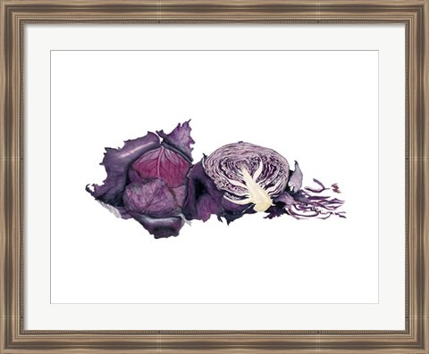 Framed Watercolor Purple Cabbage Print