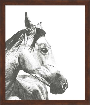 Framed Wildlife Snapshot: Horse II Print