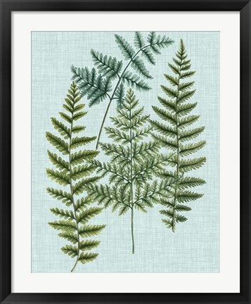 Framed Spa Ferns II Print