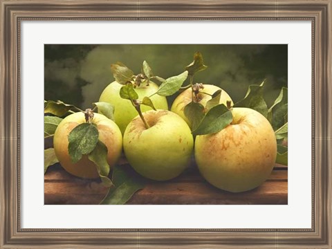 Framed Jill&#39;s Green Apples II Print