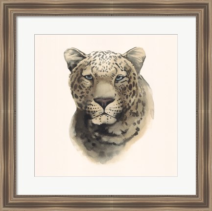 Framed Safari Cat I Print