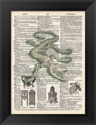 Framed Alligator Print