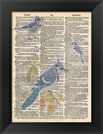 Framed Blue Jay Print