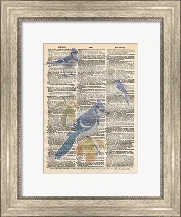 Framed Blue Jay Print