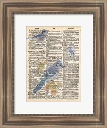 Framed Blue Jay Print