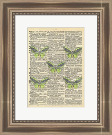 Framed Secret Butterfly II Print