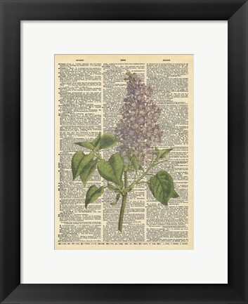 Framed Lilac Print