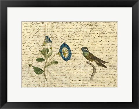 Framed Hummingbird Print