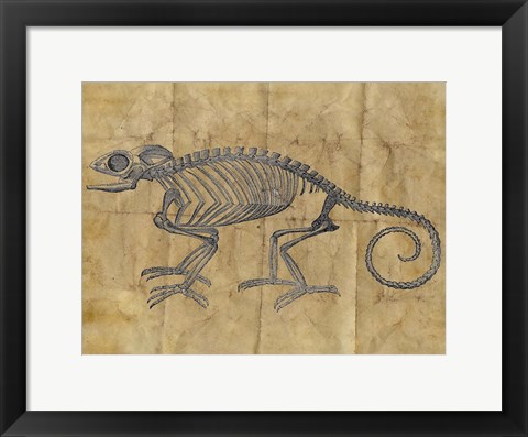 Framed Chameleon I Print