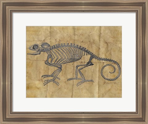 Framed Chameleon I Print