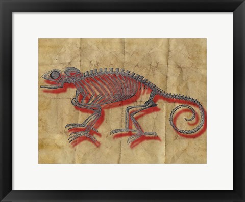 Framed Chameleon II Print