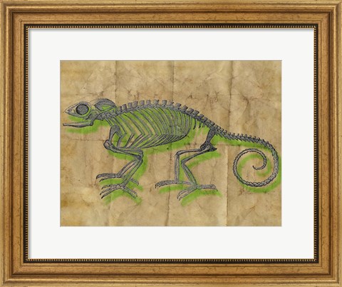 Framed Chameleon III Print