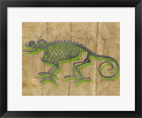 Framed Chameleon III Print