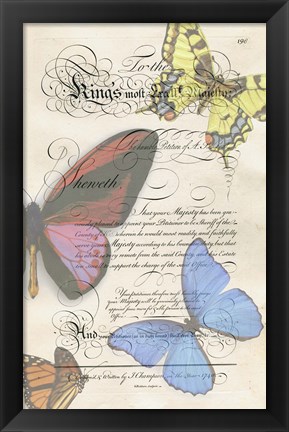 Framed Butterfly Print