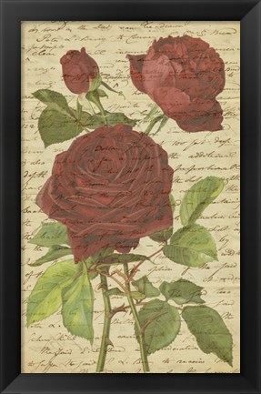 Framed Roses II Print