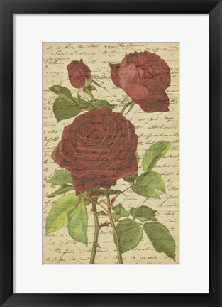 Framed Roses II Print