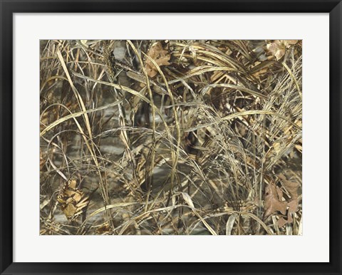 Framed Real Camo Print