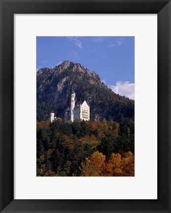 Framed Bavarian Alps and Neuschwanstein Castle Print