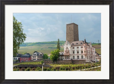 Framed Carl Jung Vineyard, Boosenburg Castle Print