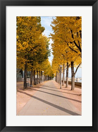 Framed Elbe River, Dresden Print