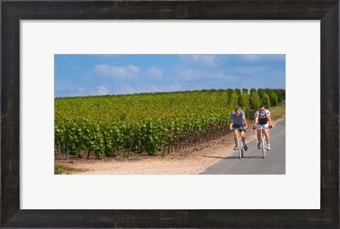 Framed Cyclists in Vineyards of Cote des Blancs Print