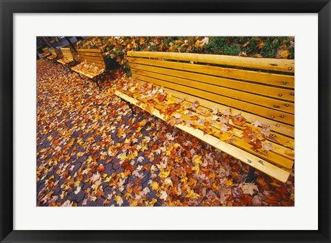 Framed Quebec City Park Bench in Fall Print